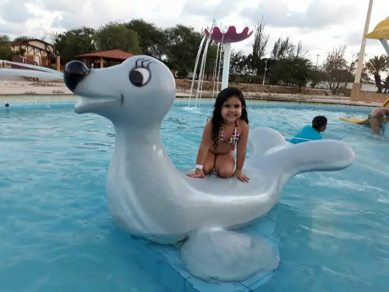 Criança sobre um brinquedo de foca na piscina.